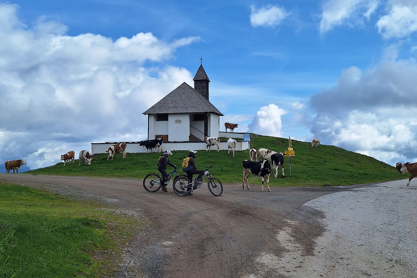 Netter Besuch Netter Besuch