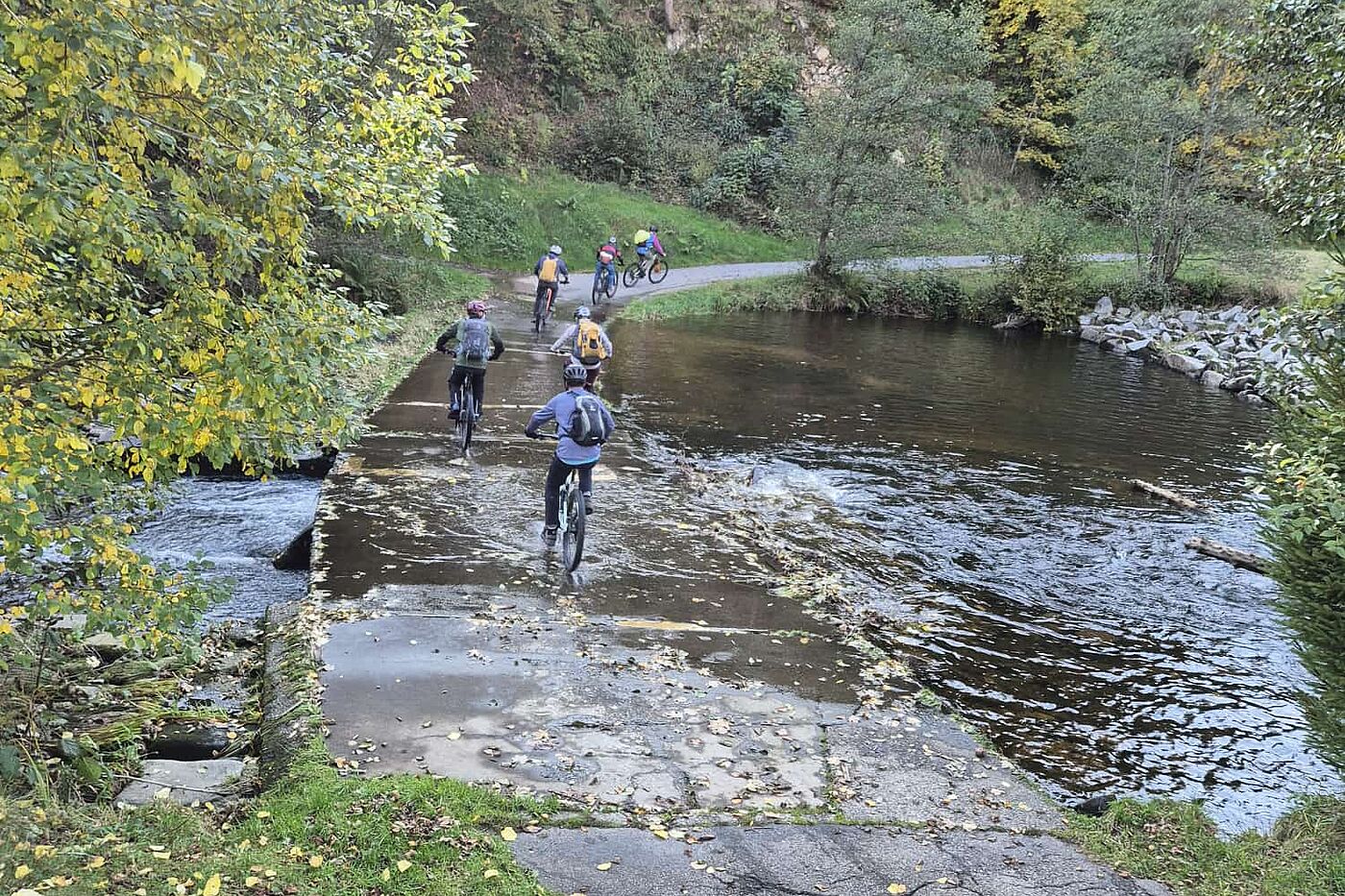 MTB Reutlingen