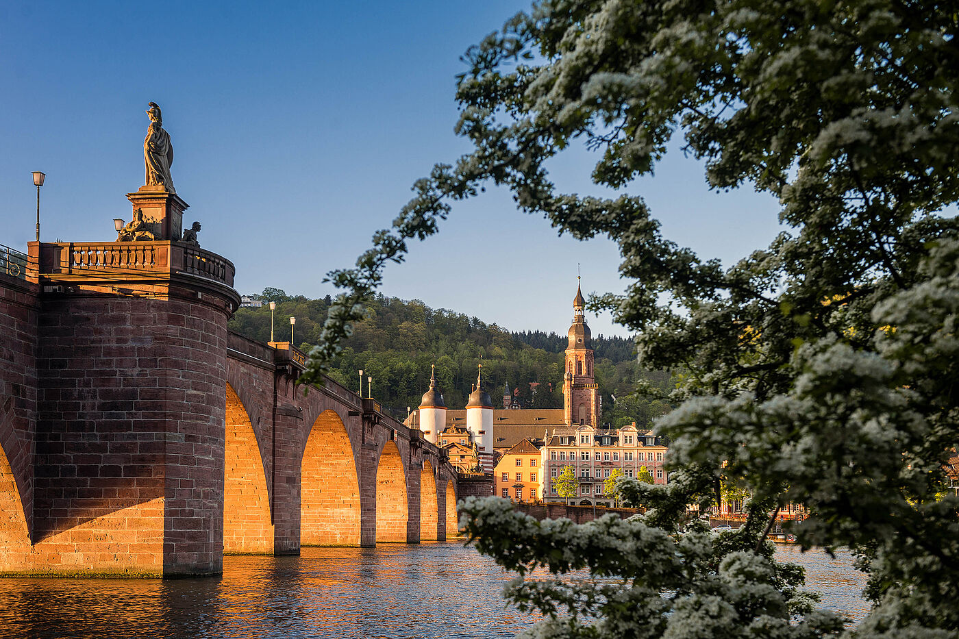 Alte Brücke_Heidelberg Alte Brücke_Heidelberg