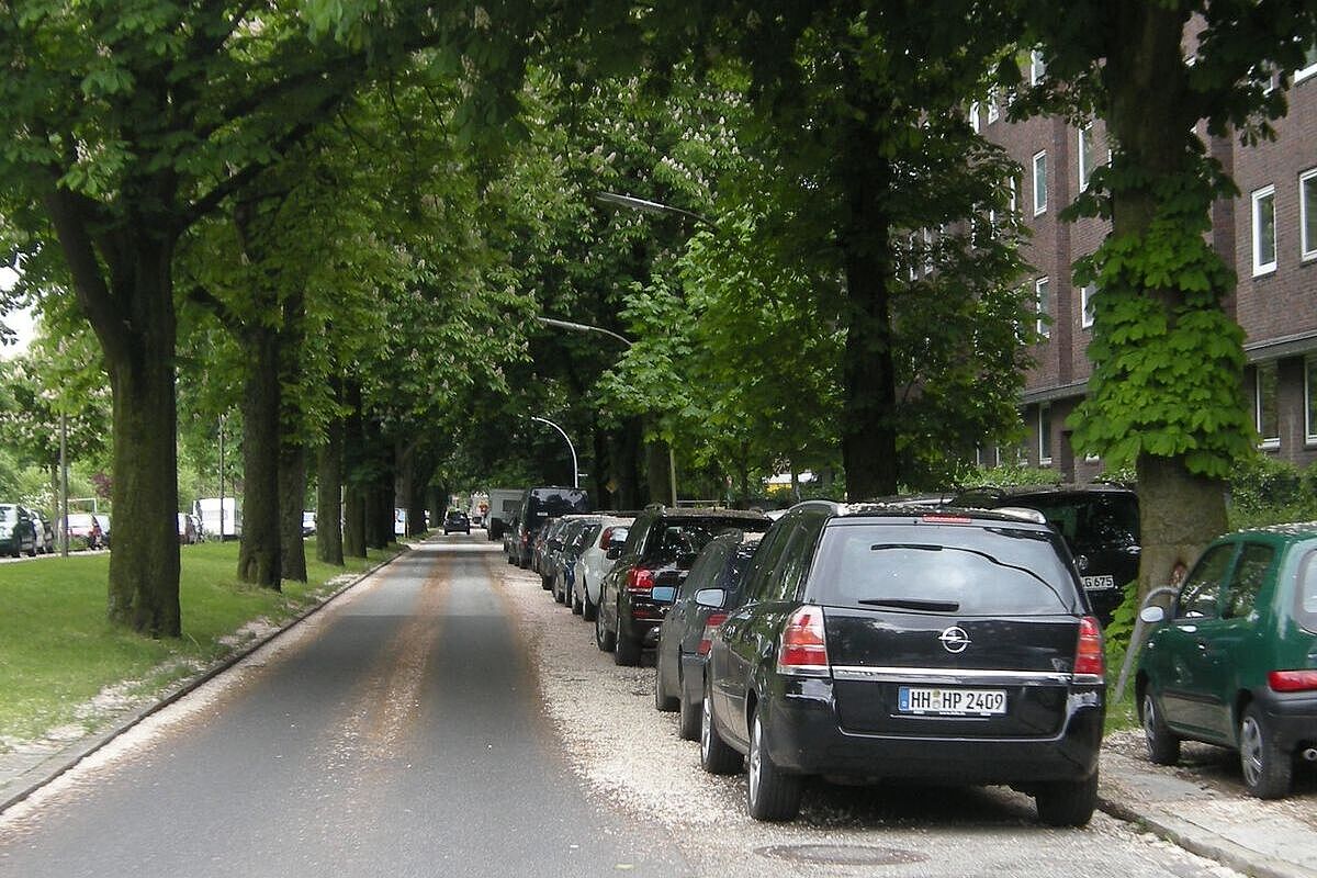Straße mit parkenden Autos, Bäume