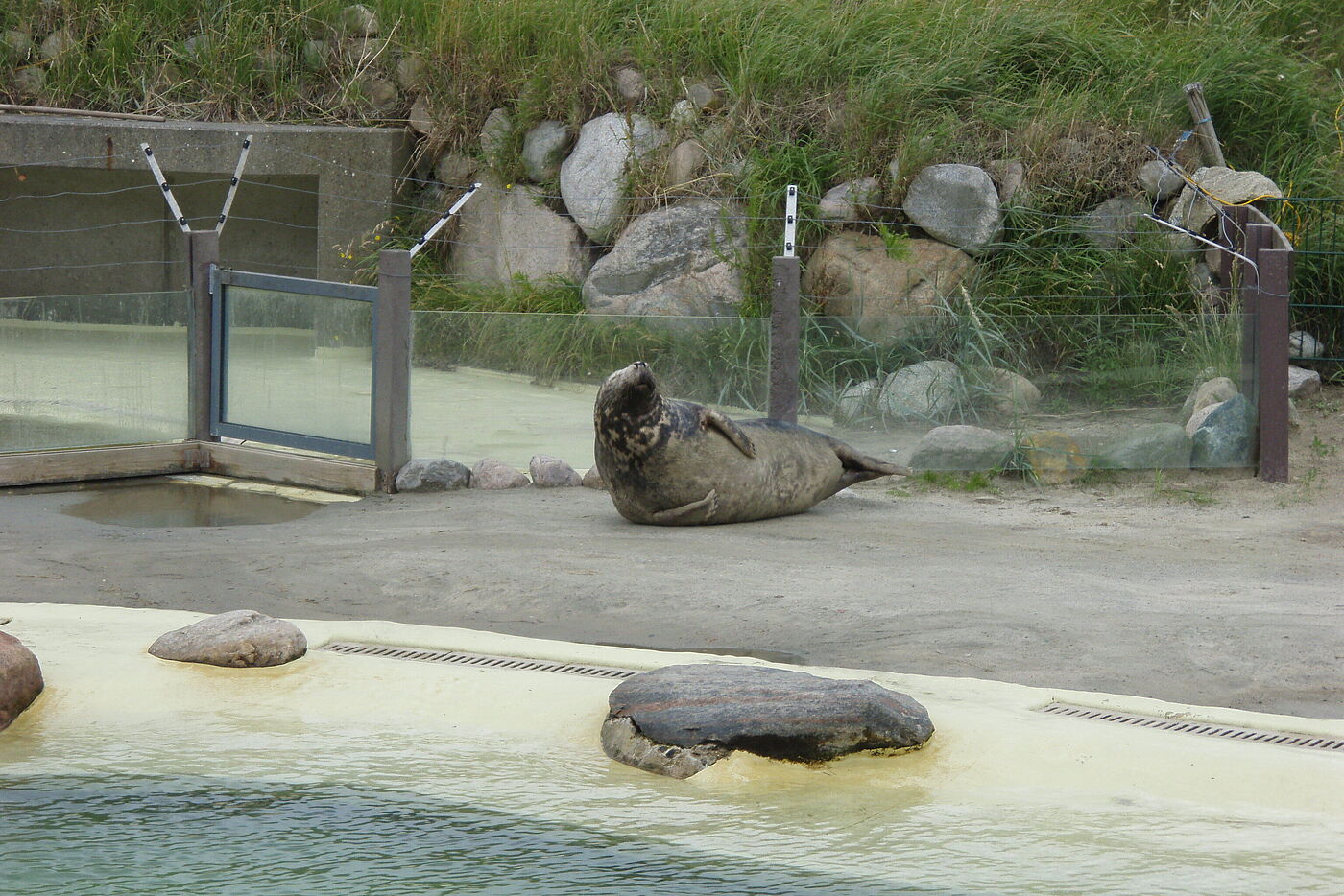 Seehundstation in Friedrichskoog 