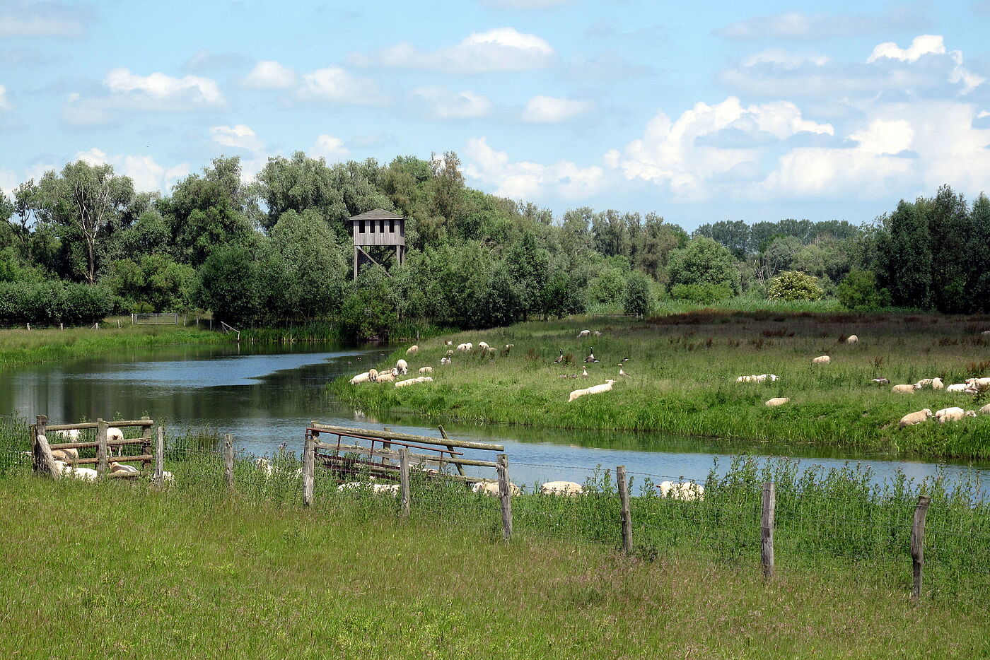 Vogelbeobachtungsturm Hetlinger Schanze