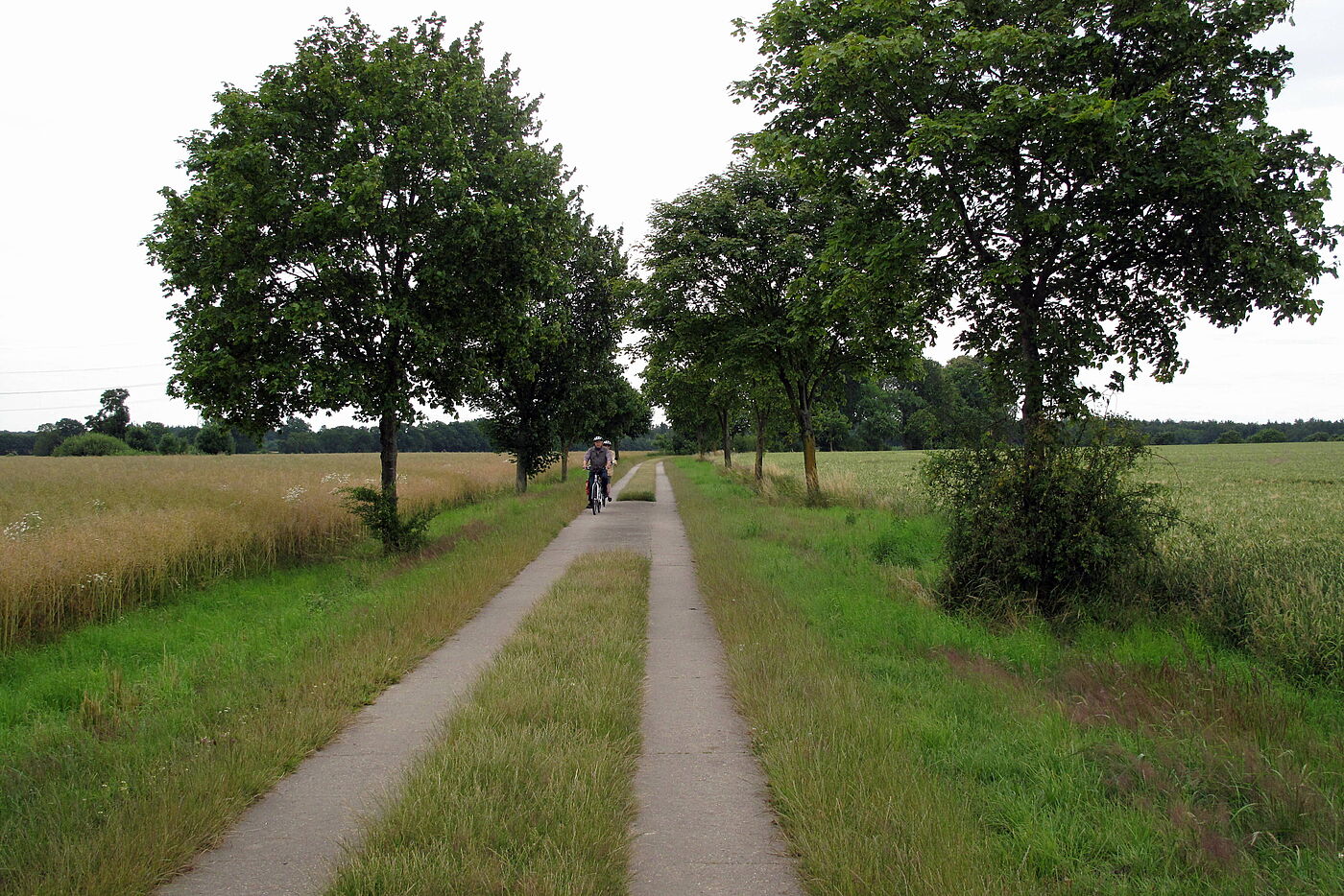 Bei Schwarzenbek