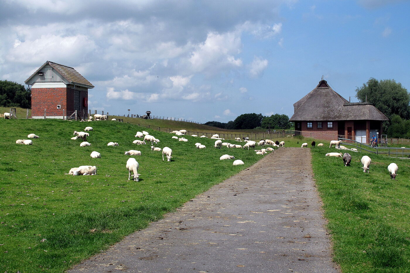 Schöpfwerk Haseldorfer Binnenelbe