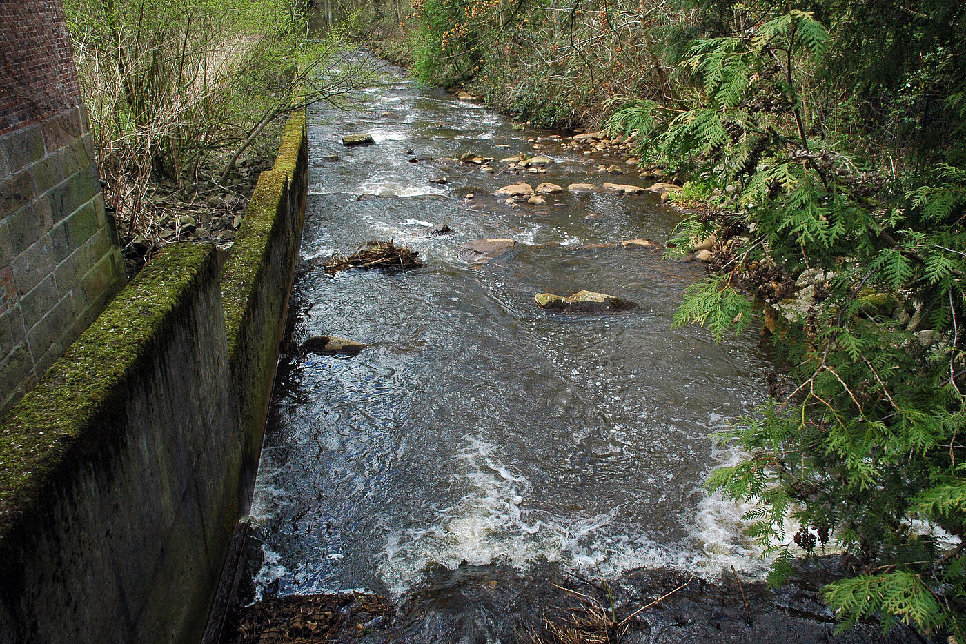Reißender Bach