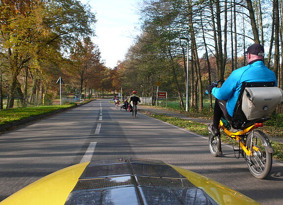 Straße gesäumt von Bäumen aus der Sicht eine*r Liegeradfahrer*in