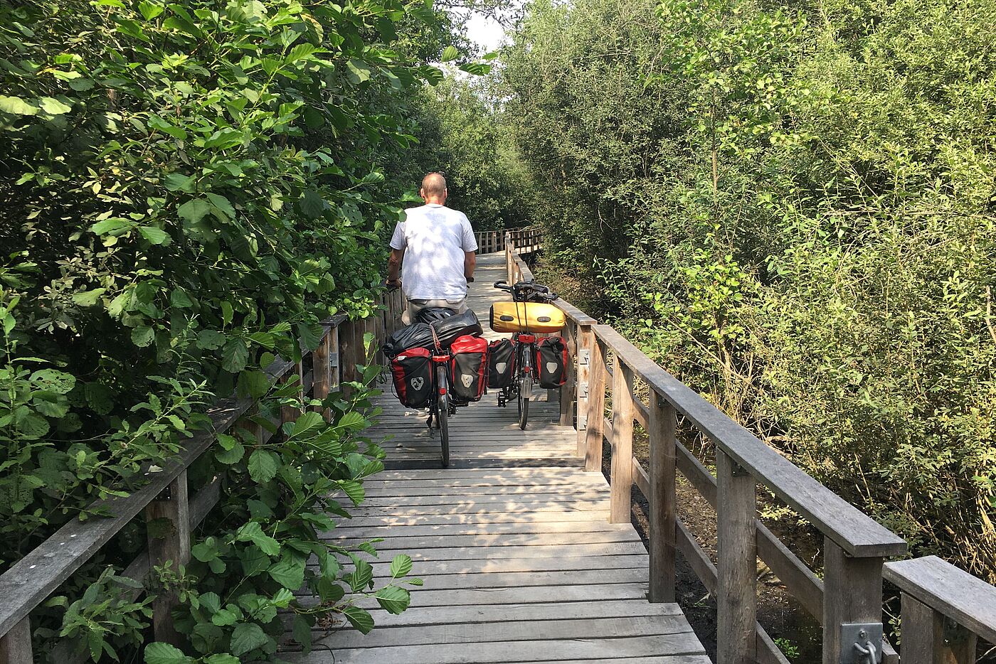 Pontonweg über den Hopfenbach