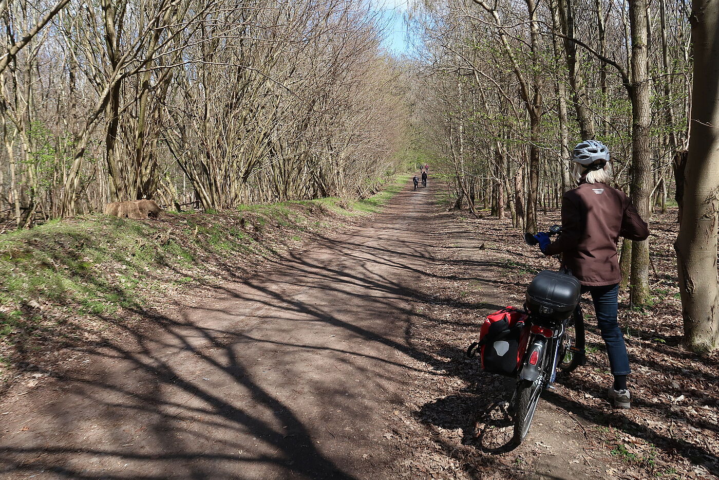 Waldweg