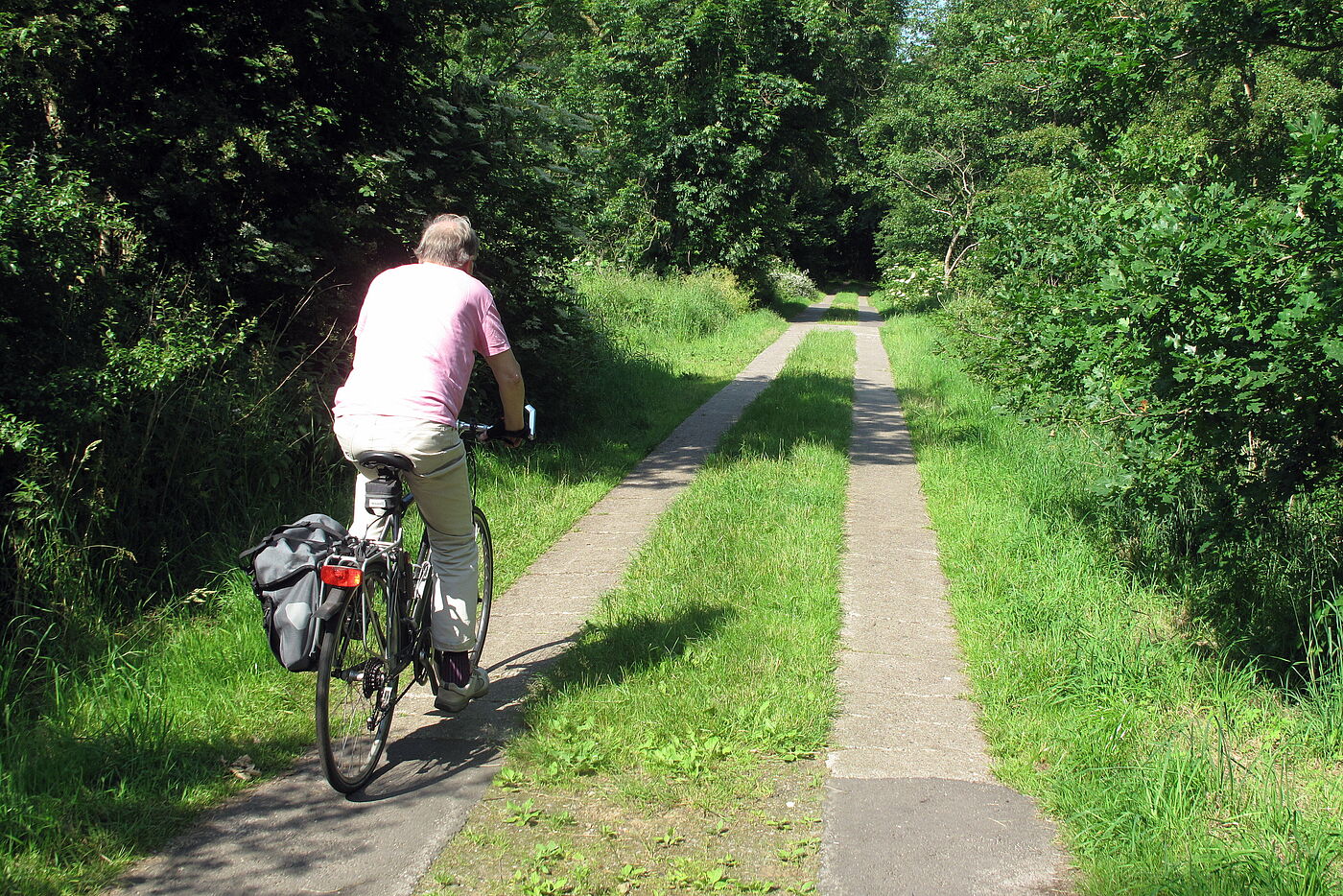 Durchs Haselauer Moor