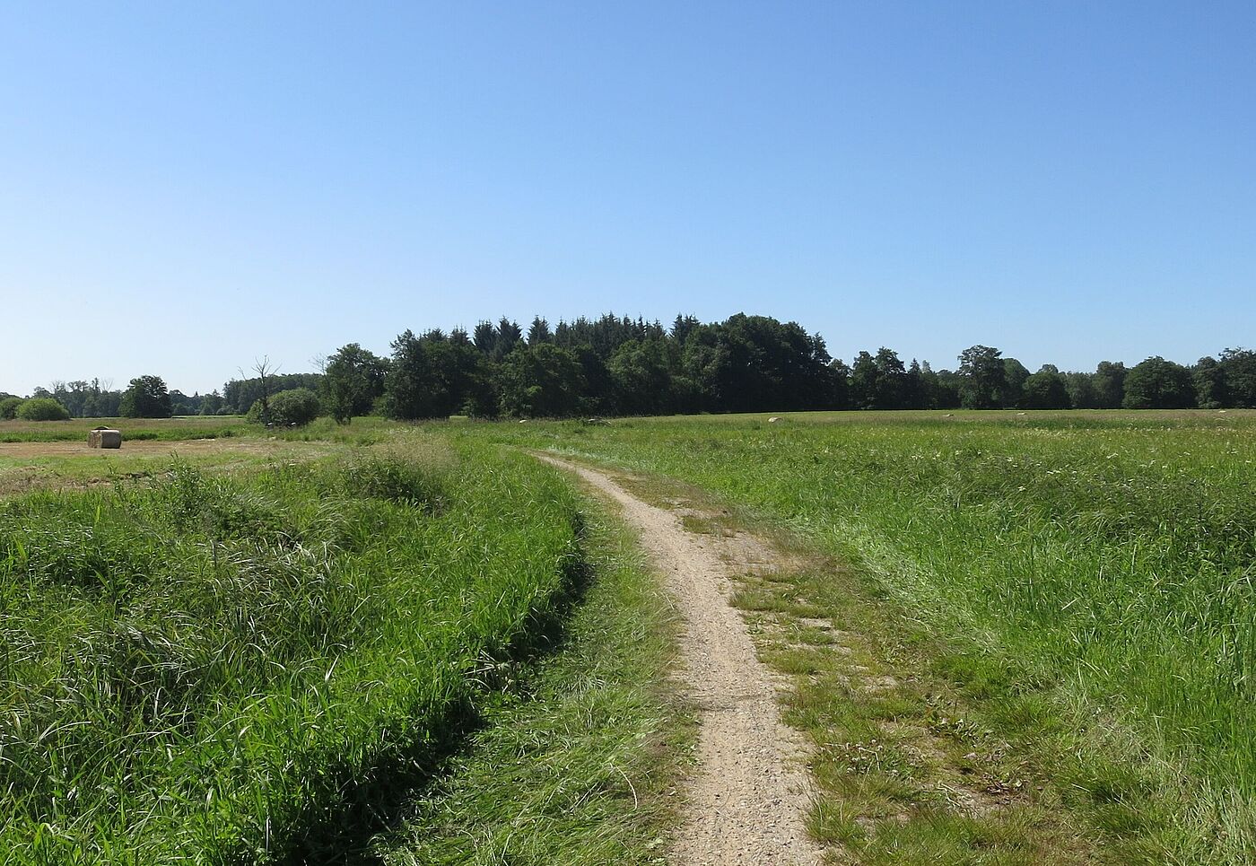 Alsterwiesen Blick Rtg. Brücke