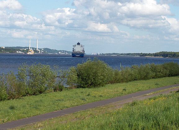 Ausblick vom Elberadweg mit einem Frachtschiff auf der Elbe und einem Kraftwerk am anderen Ufer