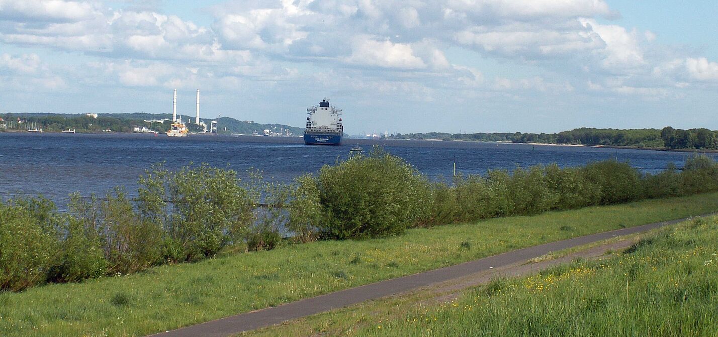 Ausblick vom Elberadweg mit einem Frachtschiff auf der Elbe und einem Kraftwerk am anderen Ufer