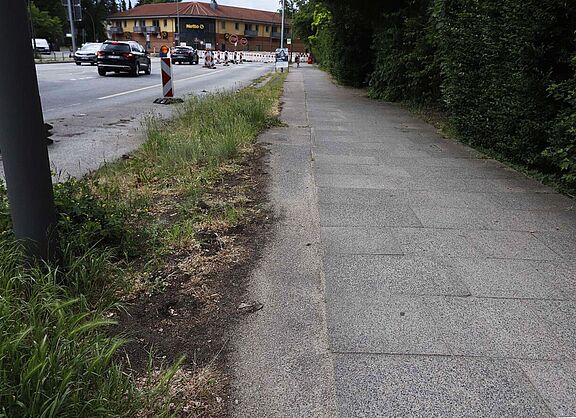 Zugewucherter Radweg
