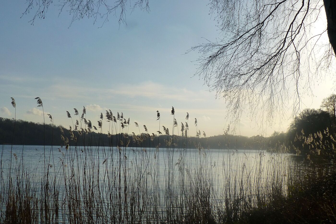 Lütjensee