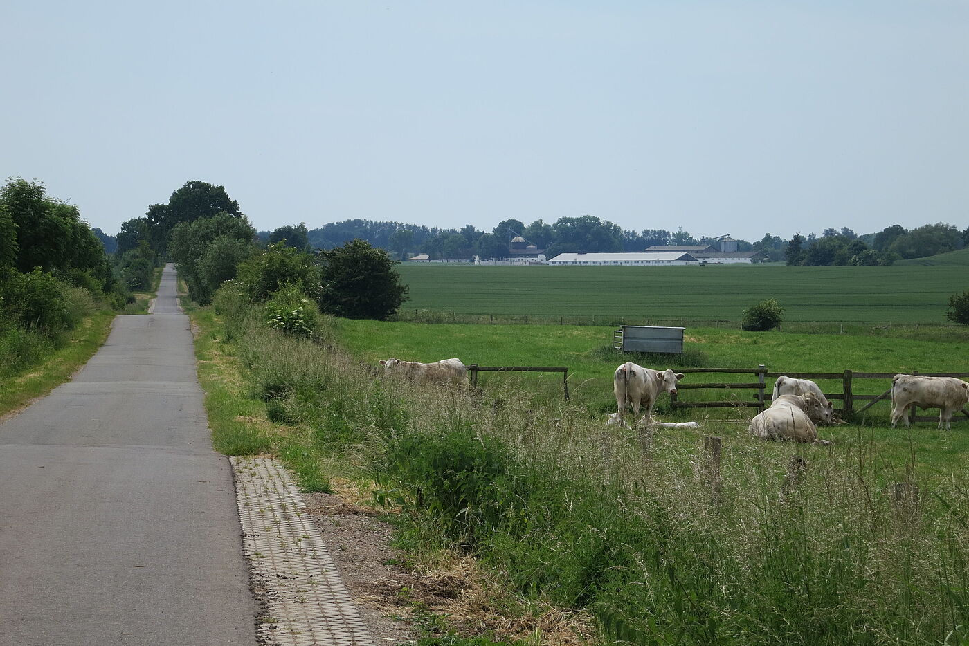 Schäperbarg