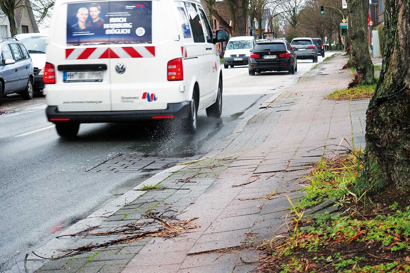 Neßdeich eine Straße in Hamburger Stadtteil Finkenwerder