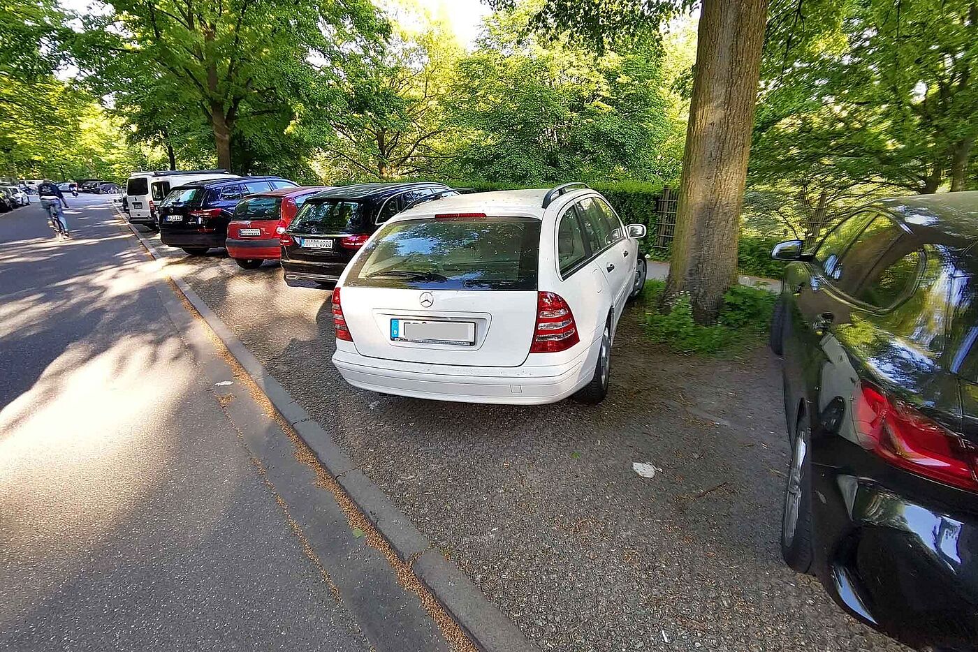 Jahrelang wurde geduldet, dass Autos schräg auf dem Gehweg geparkt wurden. Beim Ausparken ist so die Sicht auf Radelnde eingeschränkt. Für Bäume sind schwere Kfz auf dem Wurzelwerk eine besondere Belastung