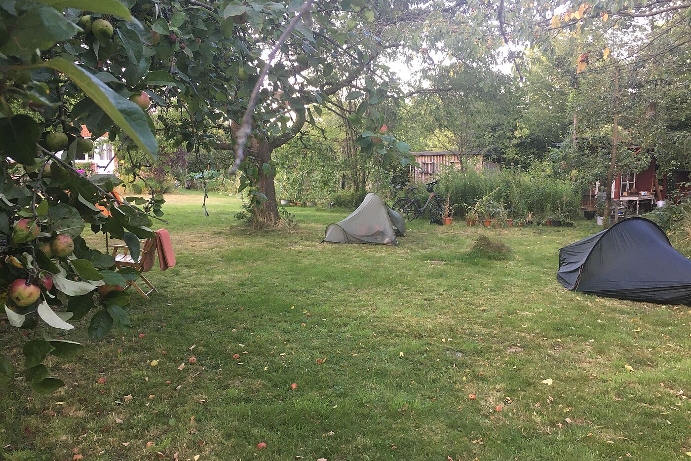Zelten im Garten
