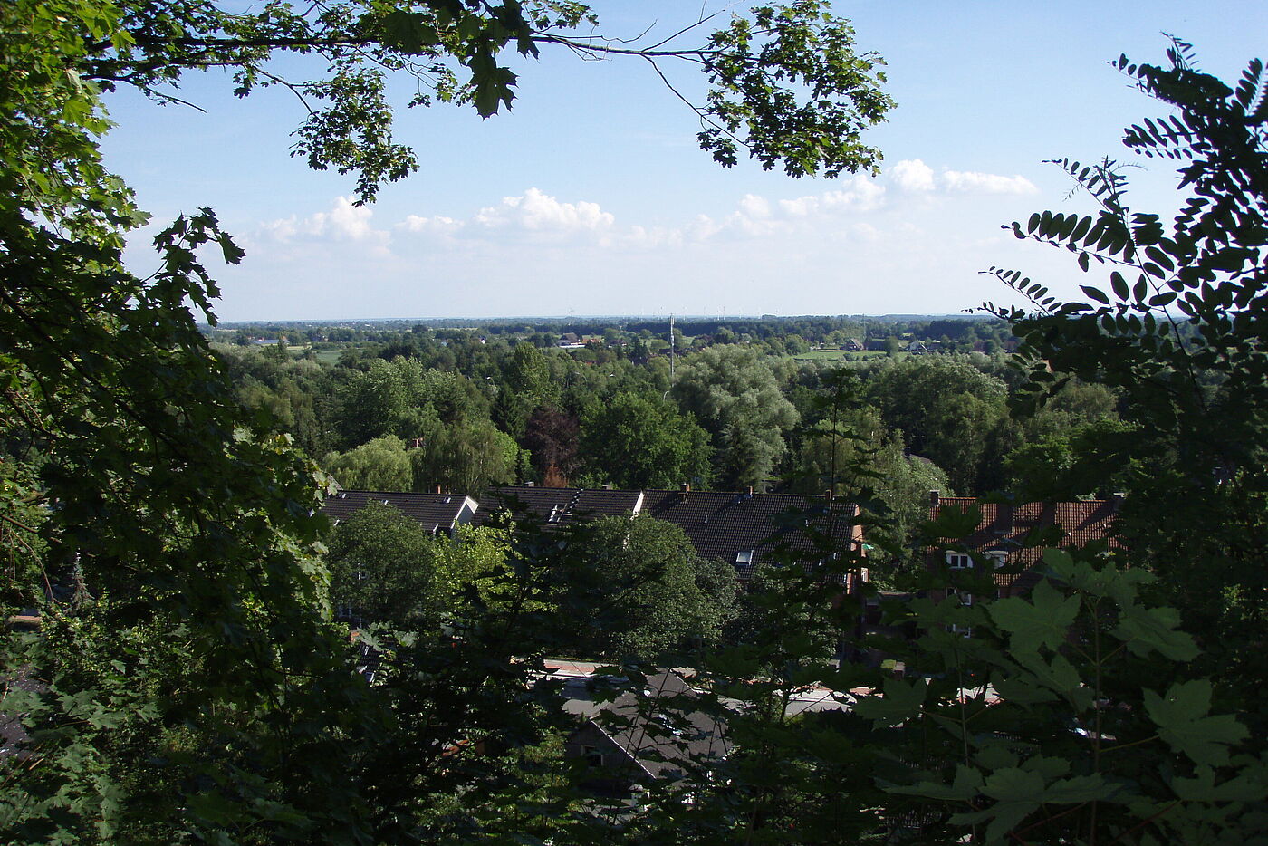 Blick von der Schorrhöhe