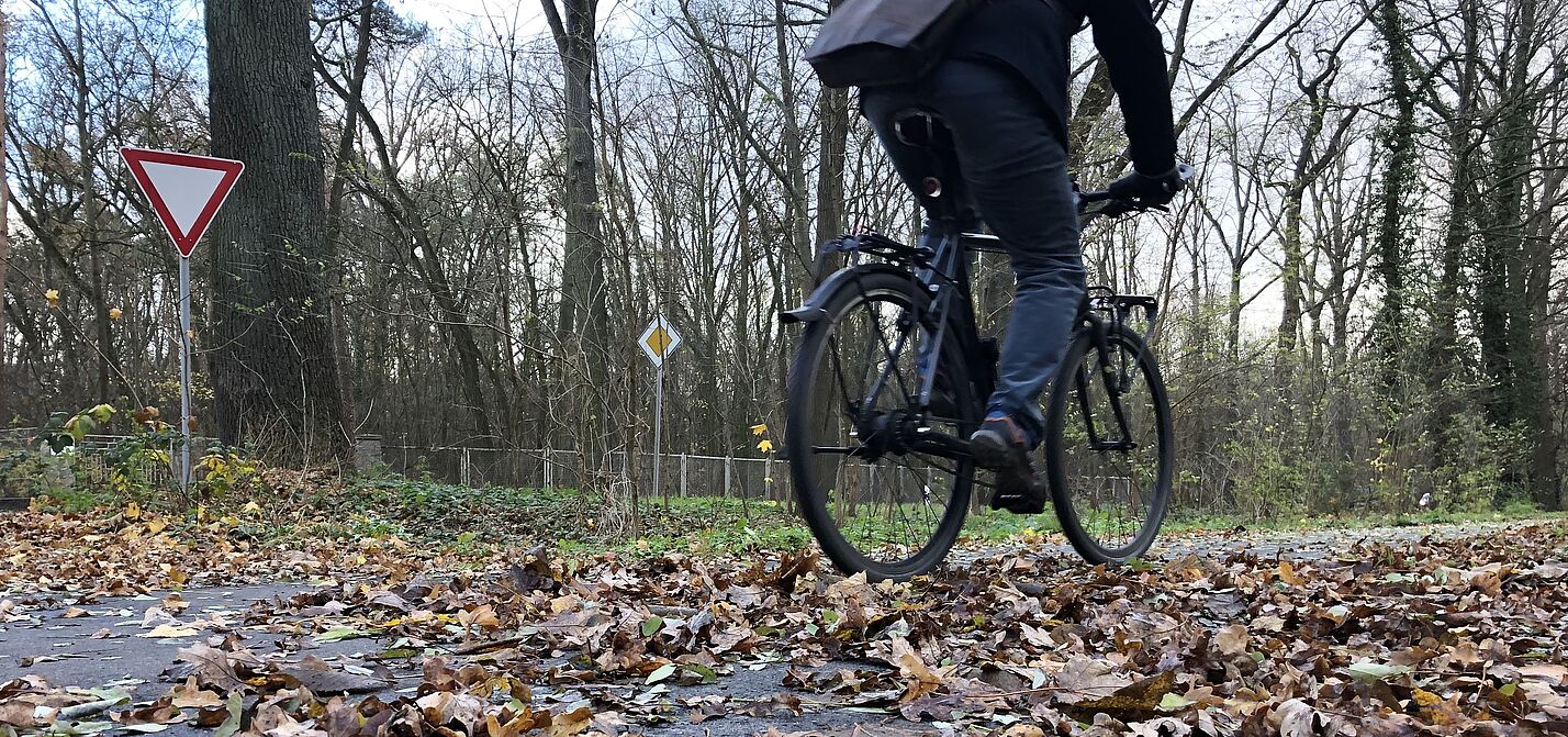 Radweg mit Laub Radweg mit Laub