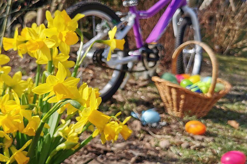 Ostersuche Kinderfahrrad Ostersuche Kinderfahrrad