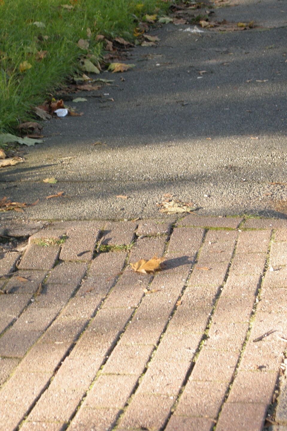 Radwegschaden Hochstehende Pflastersteine auf Radweg